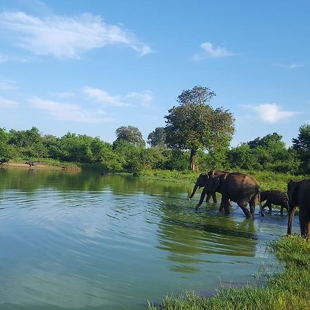 Kuma Safari Lodge Удавалаве Экстерьер фото
