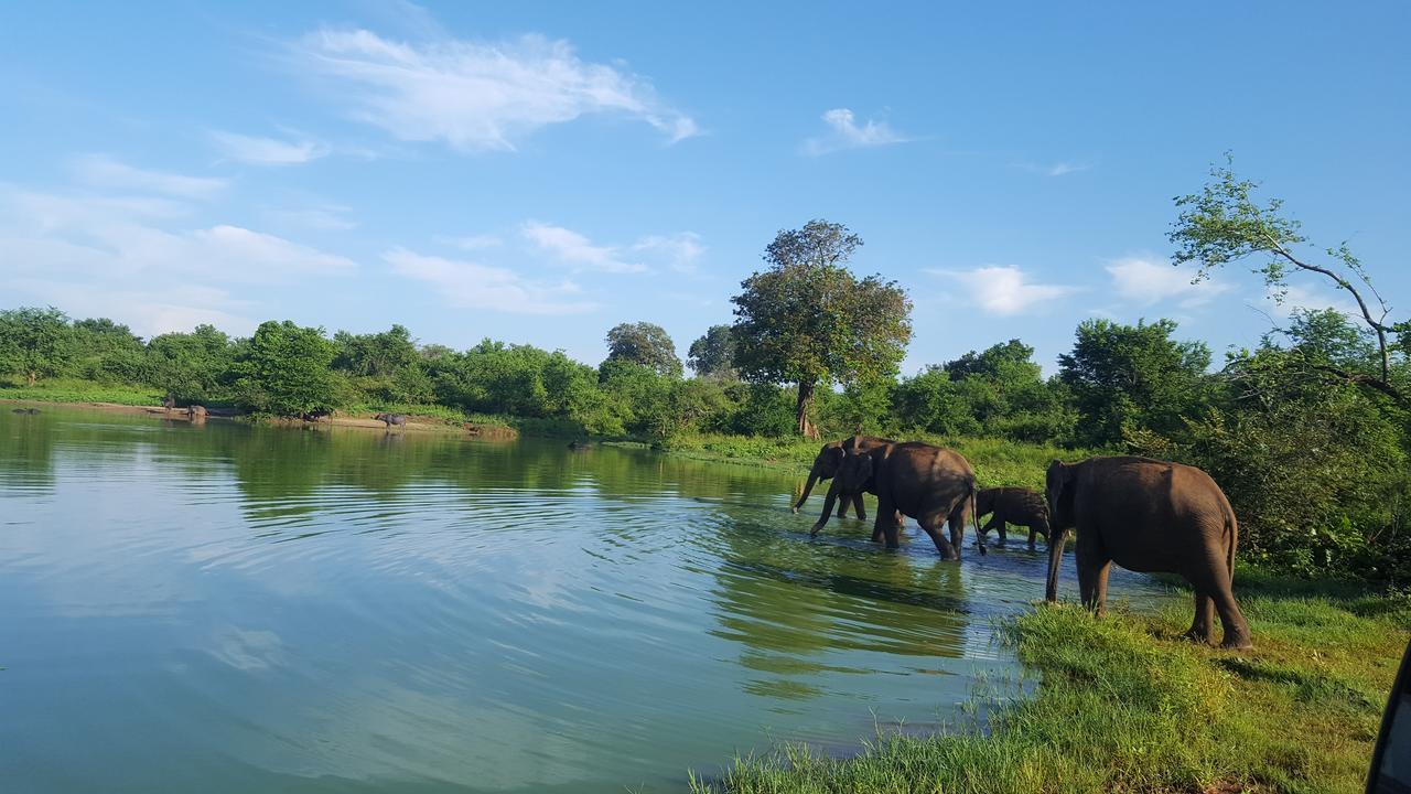 Kuma Safari Lodge Удавалаве Экстерьер фото